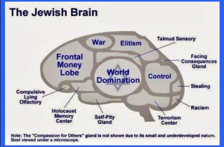 THE JEWISH PLAN TO CONQUER THE GENTILES & RULE THE WORLD