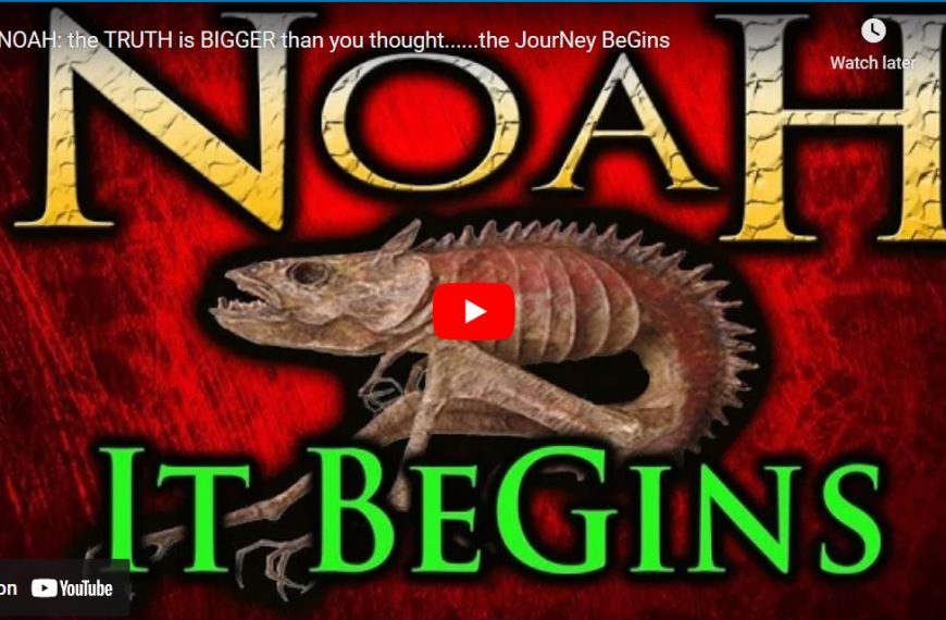 NOAH: the TRUTH is BIGGER than you thought……the JourNey BeGins