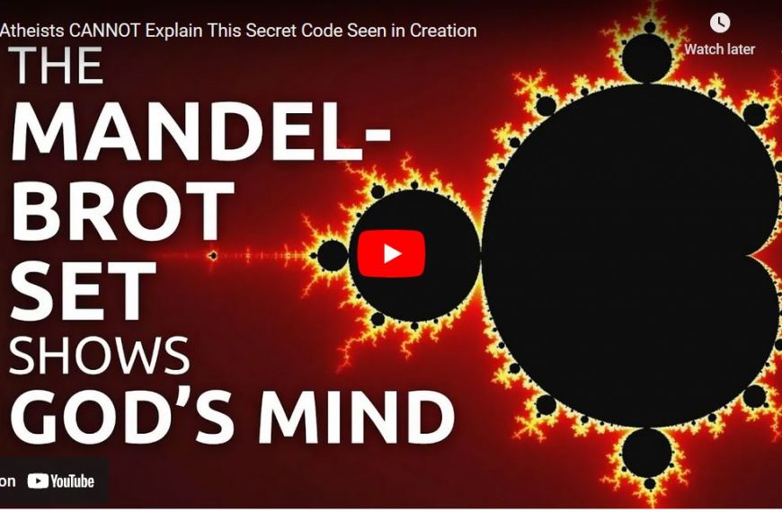 The Secret Code of Creation