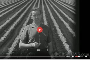 Harvest Of Shame (Migrant Workers – CBS News Special Report 1960)
