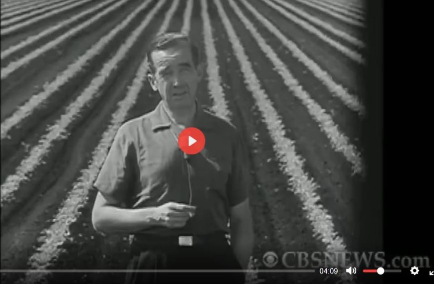 Harvest Of Shame (Migrant Workers – CBS News Special Report 1960)