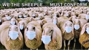 DANGEROUS CONFORMITY OF THE NORMIE (WE THE SHEEPLE….. MUST CONFORM)