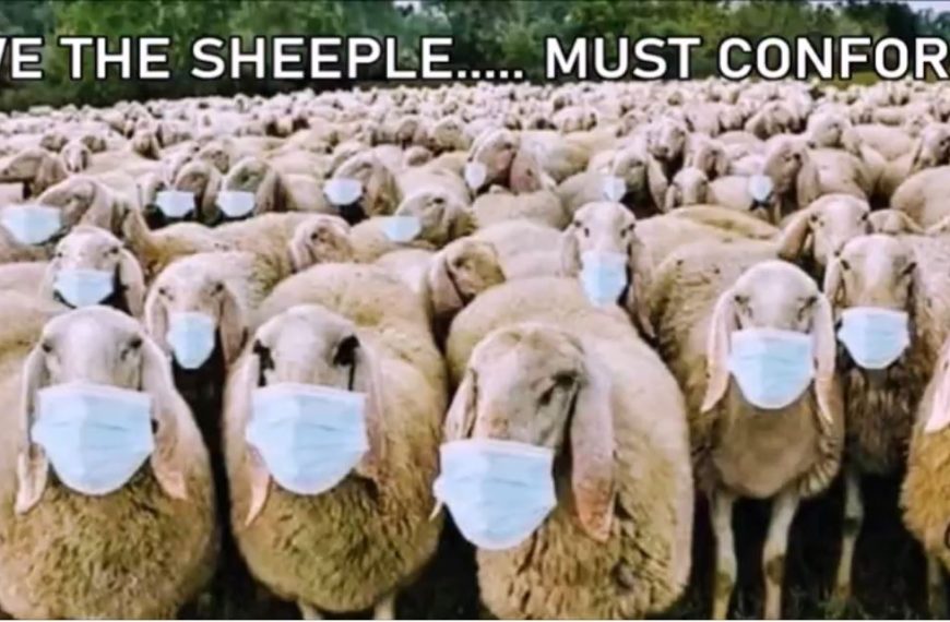 DANGEROUS CONFORMITY OF THE NORMIE (WE THE SHEEPLE….. MUST CONFORM)