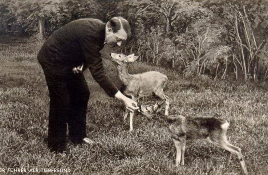 WHAT IS THE FASCINATION WITH WW2 & ADOLF HITLER?