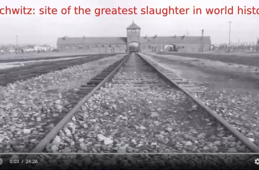Auschwitz: The Missing Cyanide
