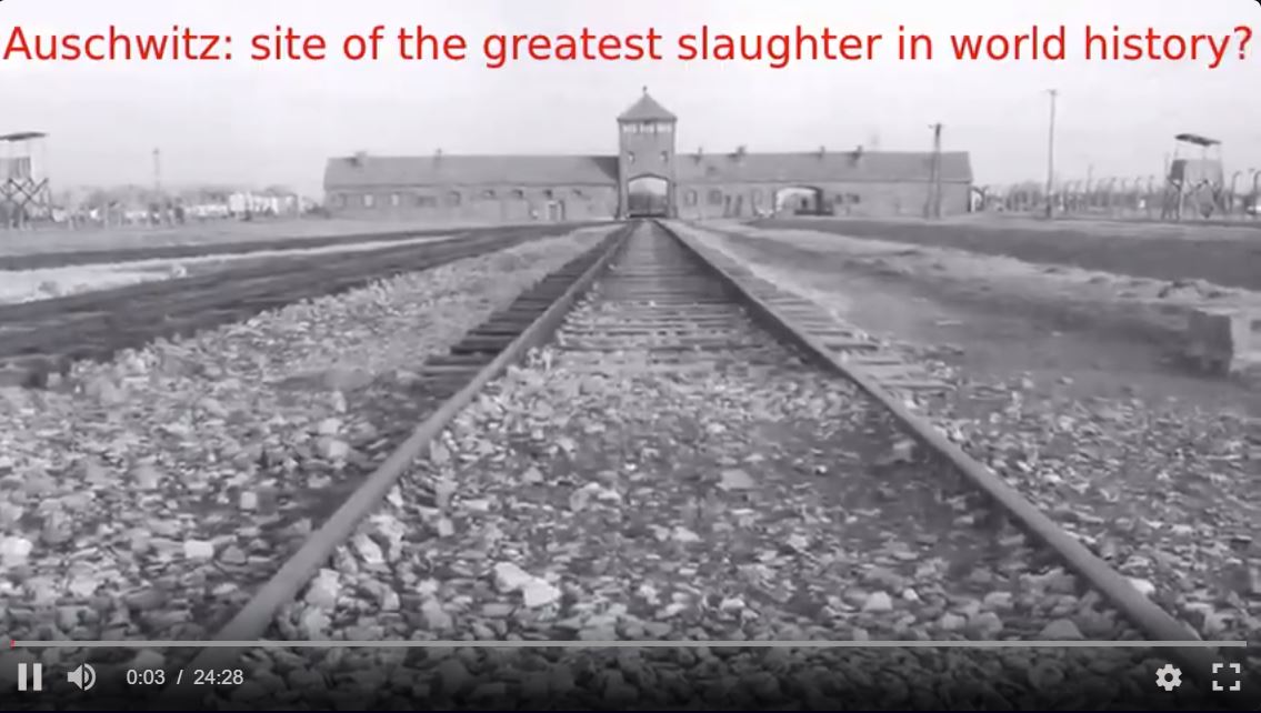 Auschwitz: The Missing Cyanide